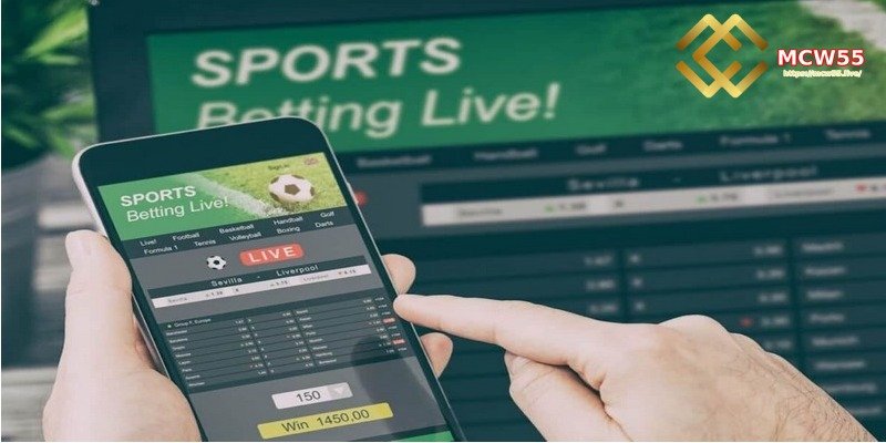 Correct Soccer Betting Based on Match Odds and Bet Types
