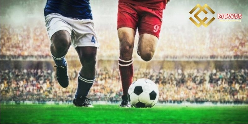 Expert Tips for Reading Asian Handicap Odds Correctly