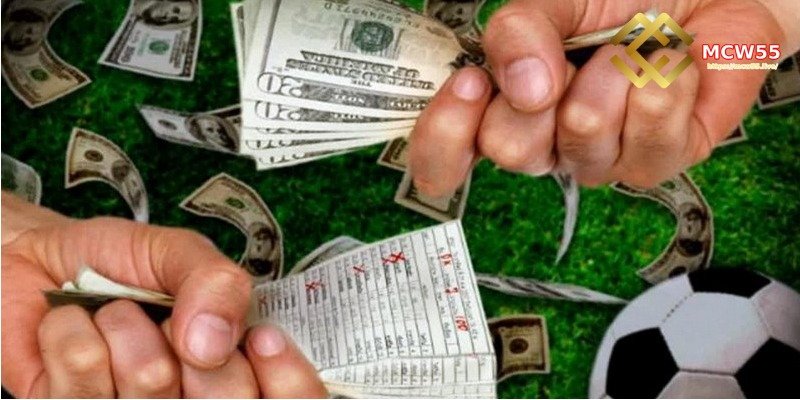 Important Notes for Accurate Soccer Betting Analysis