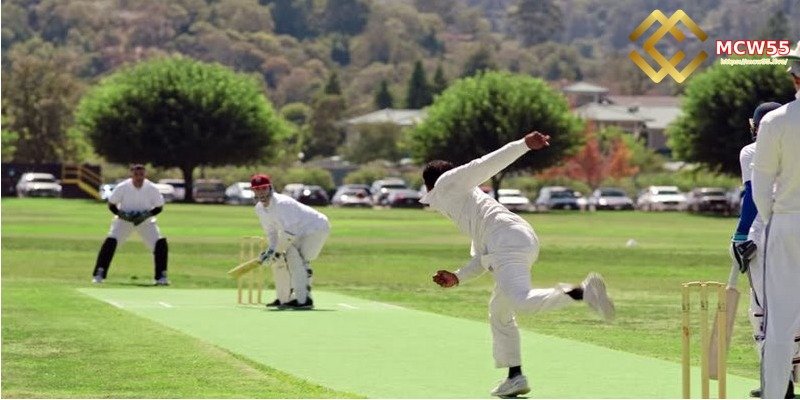 Master the Right Tips for Online Cricket Betting