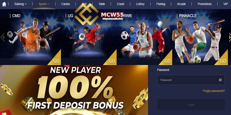 MCW55 Sportsbook – Competitive Odds on Every Match