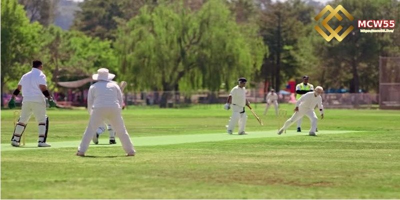 What is Online Cricket Betting?