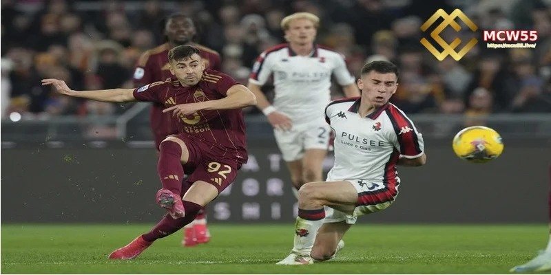 Wide Range of Betting Options – Easy to Follow